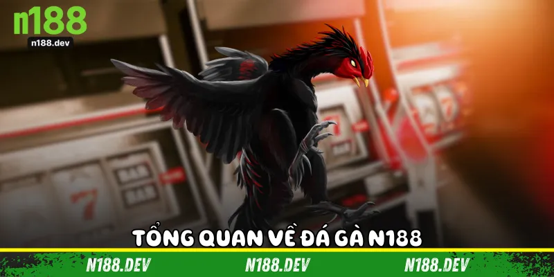 Tổng quan về đá gà N188